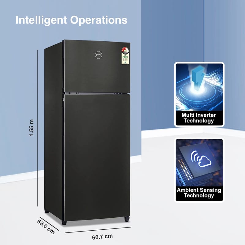 Godrej 244 L 3-Star Frost-Free Double Door Refrigerator